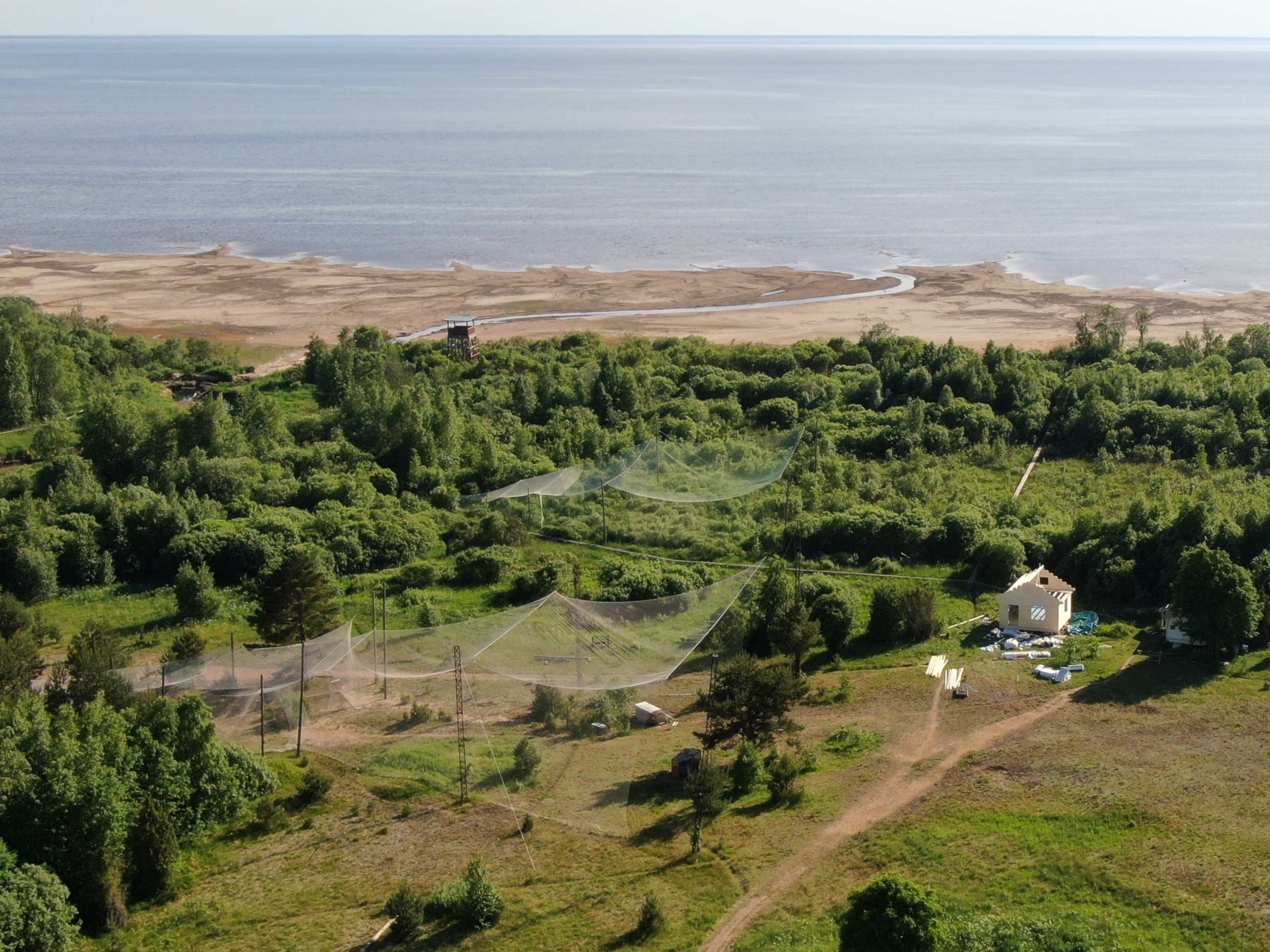 От кольцевания к новым исследованиям