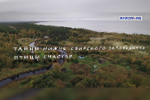 Фильм о Нижне-Свирском заповеднике