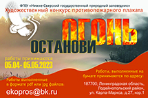 Старт конкурса плаката «Останови огонь!»