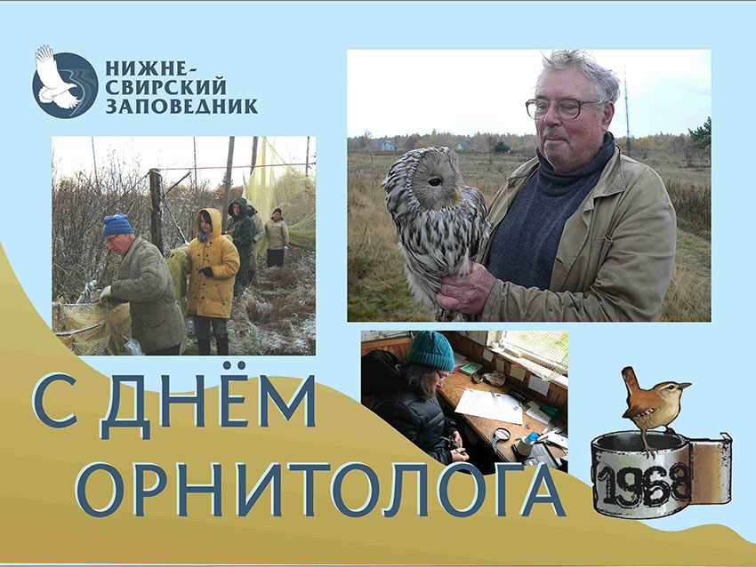 С днём орнитолога 850.jpg С днём орнитолога 850.jpg