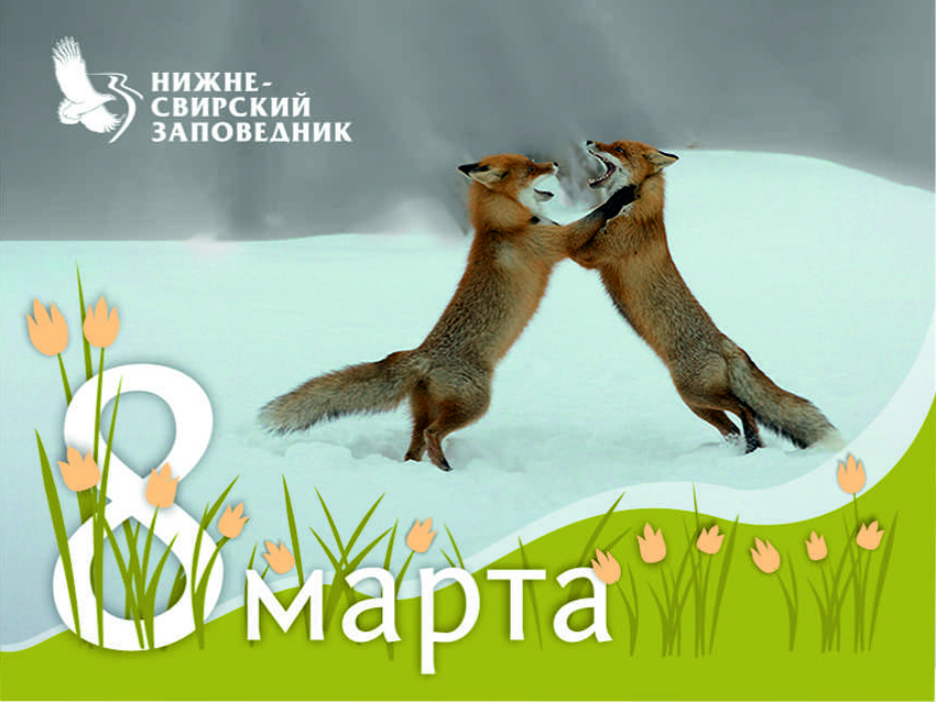 8 марта.jpg 8 марта.jpg