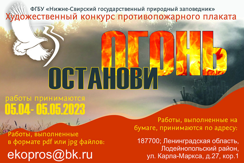 0504.jpg
