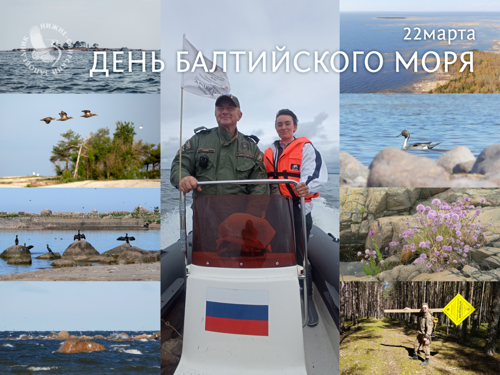 День балтийского моря111.jpg