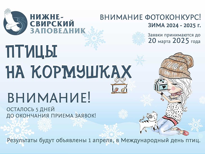 АФИША.jpg АФИША.jpg