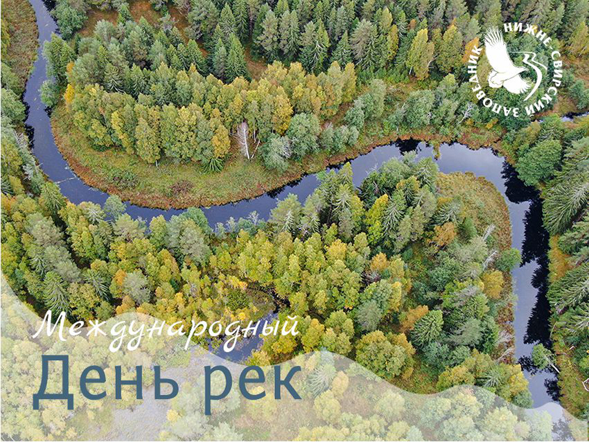 День рек.jpg