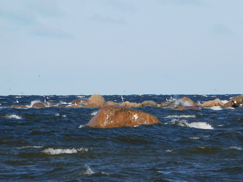 День Балтийского моря.jpg День Балтийского моря.jpg