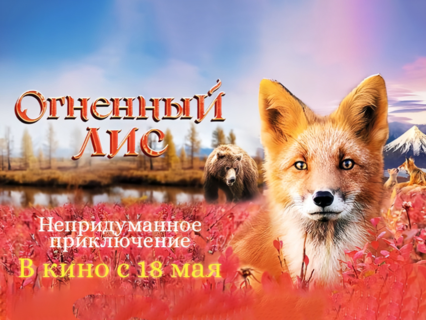 Огненный лис.jpg