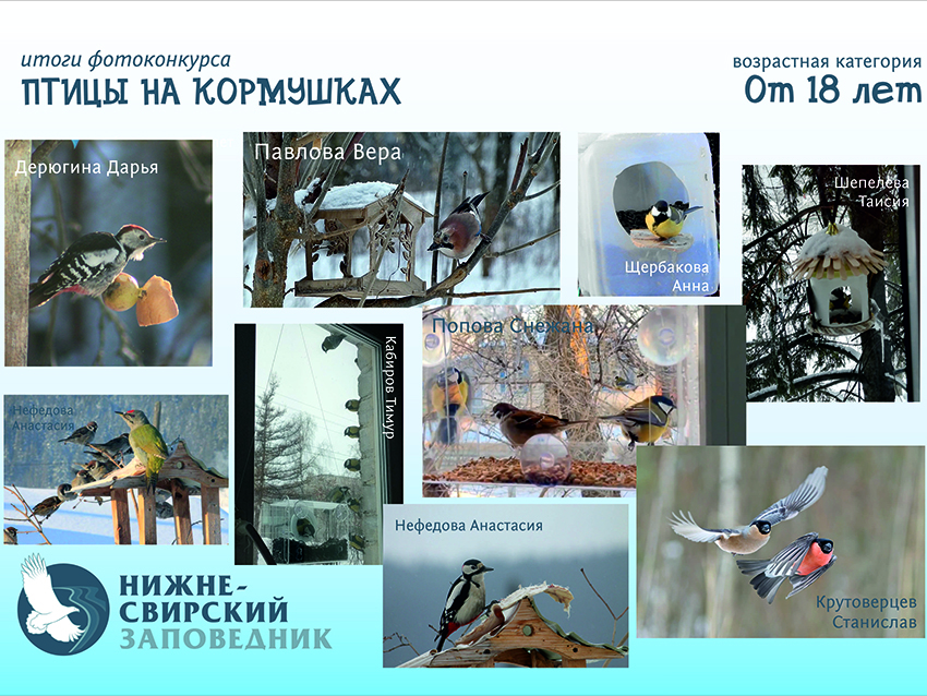 Победители афиша 18.jpg