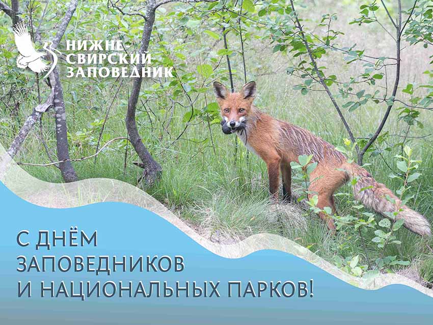 с ДНЁМ ЗАПОВЕДНИКОВ1.jpg