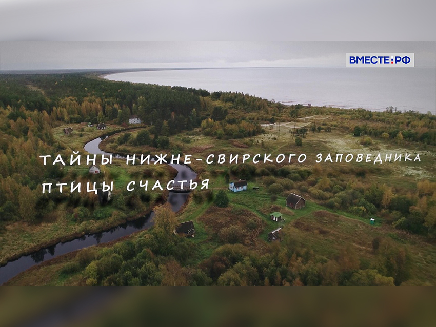Фильм Тайны НСЗ. Птицы счастья.jpg