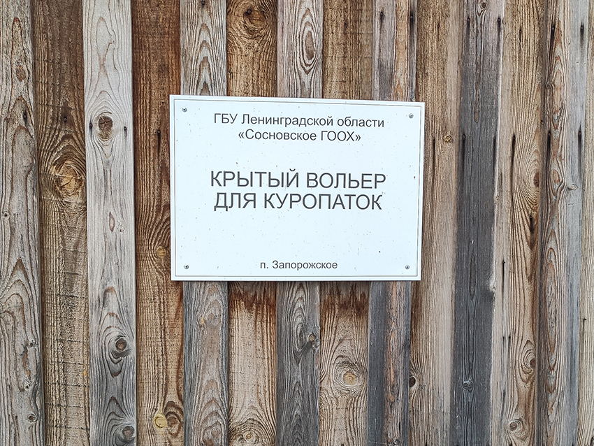 Кольцевание куропаток 3.jpg