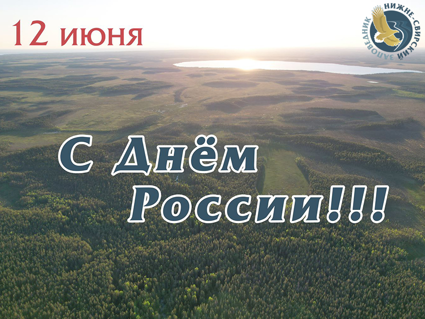 День России.jpg