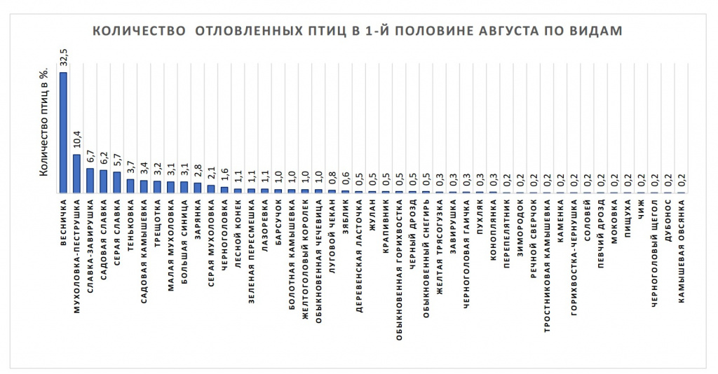 Статистика.jpg