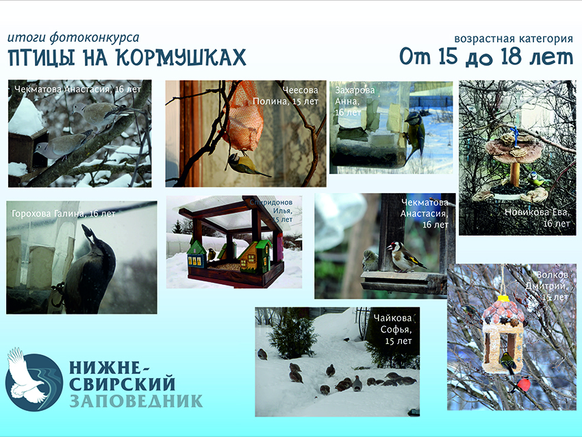 Победители афиша 15-17.jpg