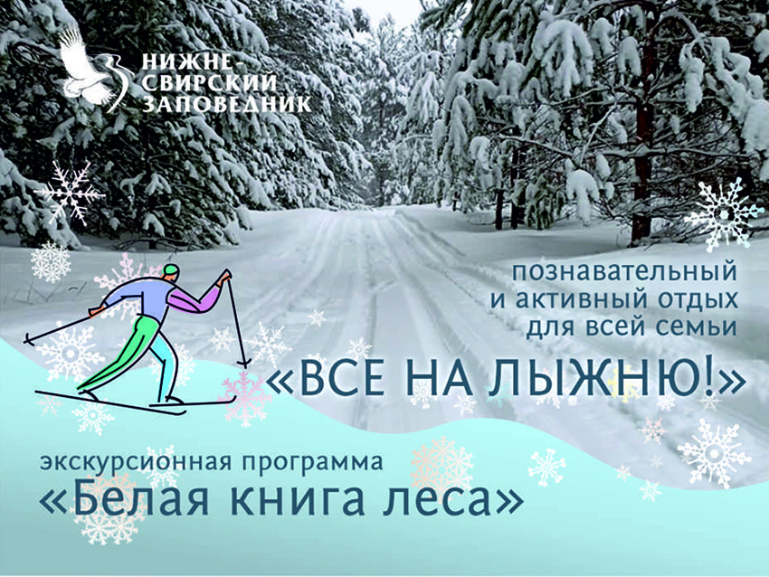 Лыжня1.jpg