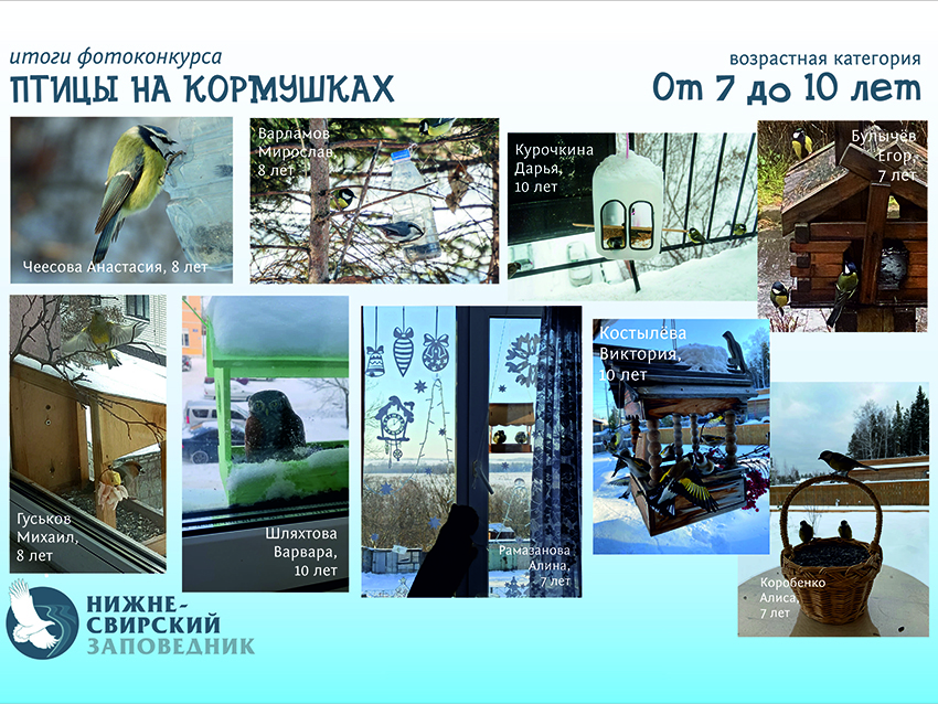 Победители афиша 7-10.jpg