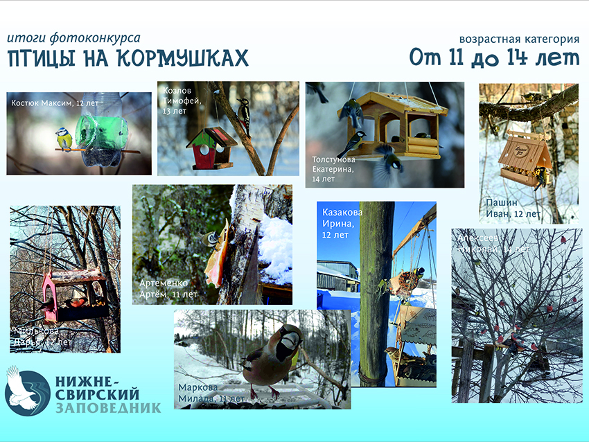 Победители афиша 11-14.jpg