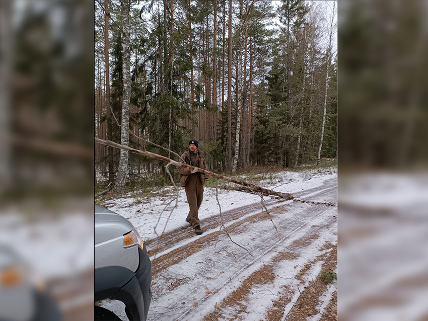 Работа охраны в Новогодние праздники 1.jpg