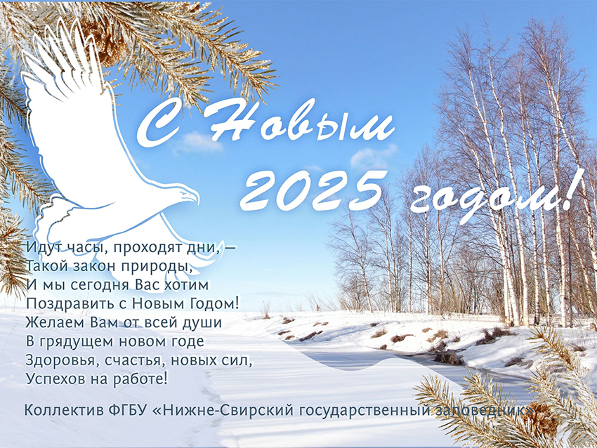 Новый год.jpg