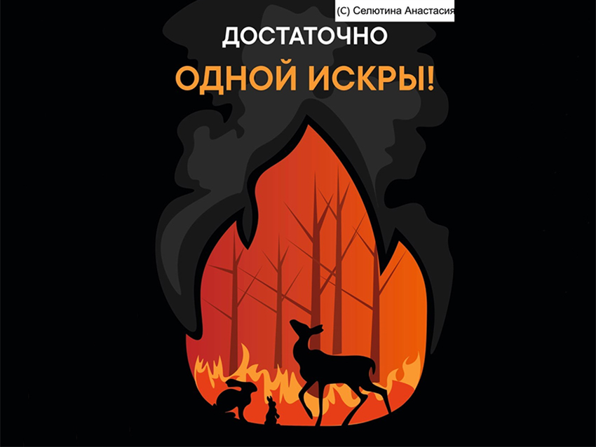 Неделя экологии 2.jpg